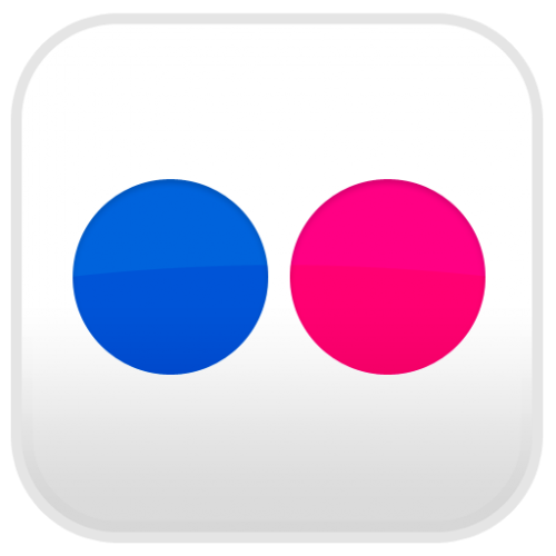 flickr logo-500x500